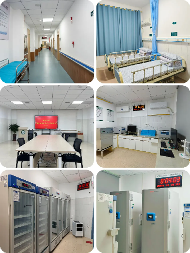 from clipboard from clipboard